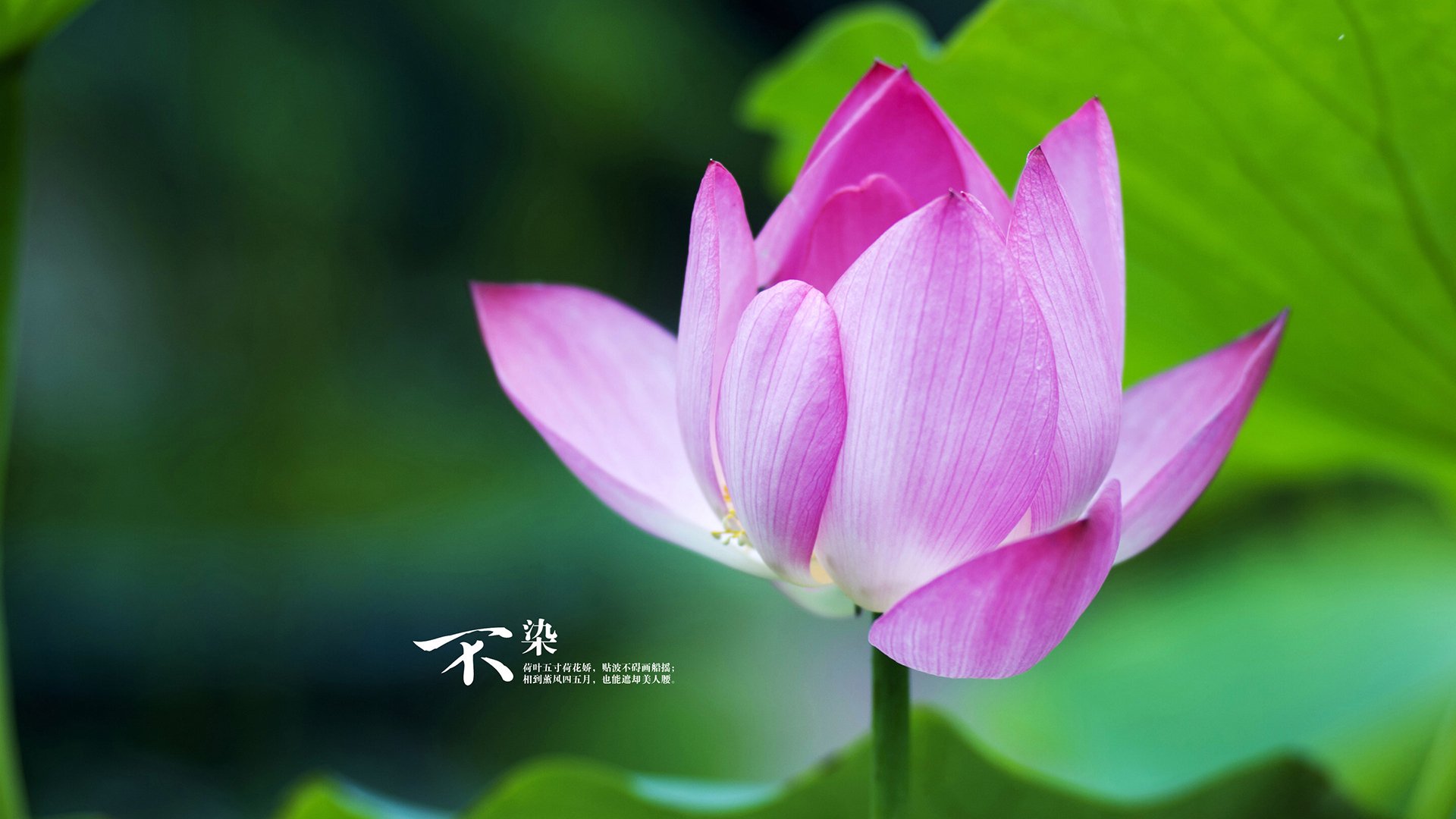 开云·体育官网-2024年德国队的混合团体世界杯之路:坚定的步伐,德国队备战世界杯