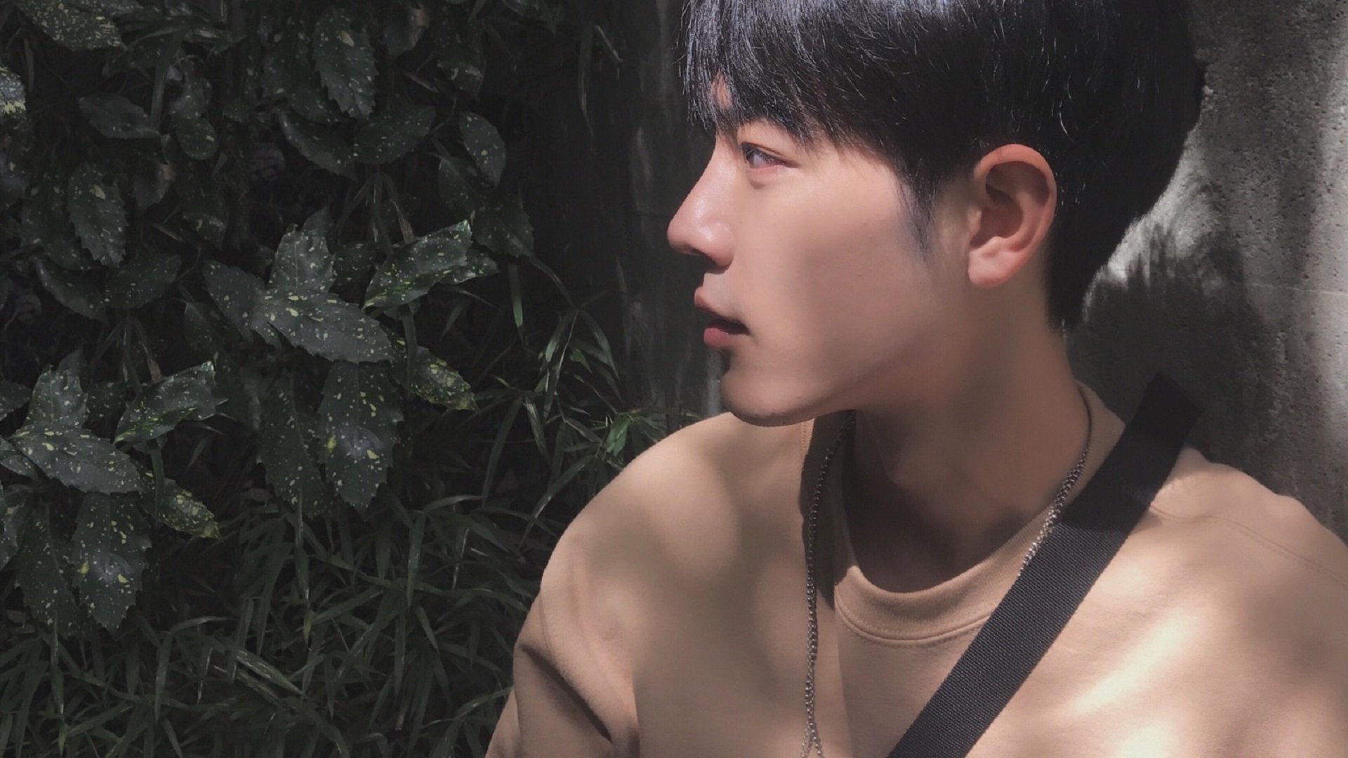 开云体育网站入口-外教未参与青训体系评估造成理念断裂,外教未参与青训体系评估造成理念断裂的原因