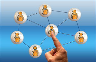 开云中国官网-英超球员社交媒体互动提升粉丝忠诚度研究，英超球队球迷